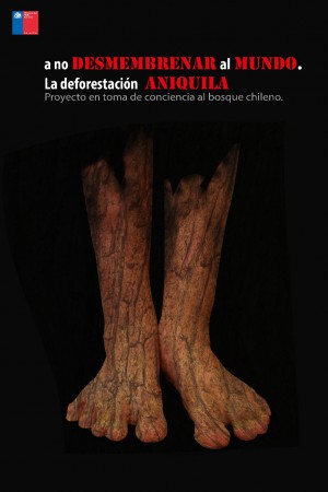 Campaña contra la deforestación en Chile.
